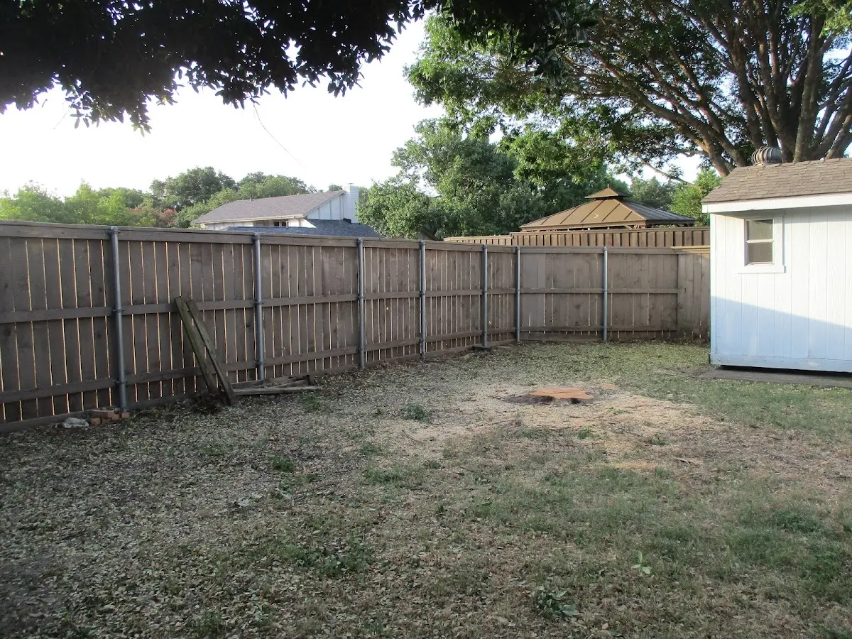 Cleared yard after professional tree removal in Ventura